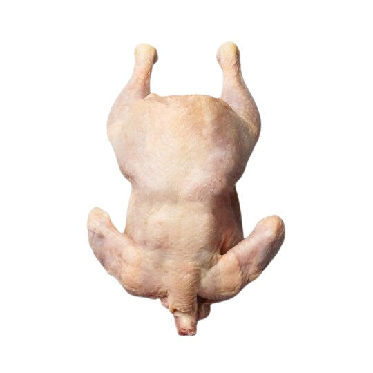 Arsalan World Food Market Halal Whole Chicken (Medium Chicken)