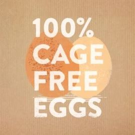 Hellmann's Made with Cage Free Eggs Light Mayonnaise, 15 fl oz Jar