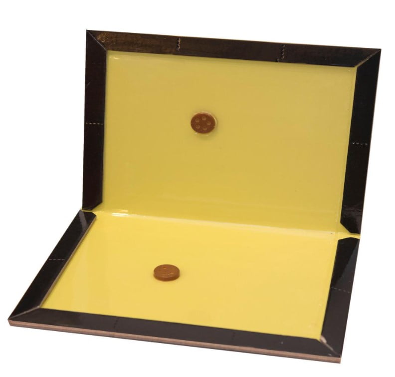 Harris Super-Size Rat and Mouse Glue Trap with Lure, 1 Trap