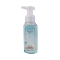 BBW BEAUTIFUL DAY VER 2 HAND WASHES - GENTLE FOAMING 259ML