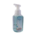 BBW BEAUTIFUL DAY VER 2 HAND WASHES - GENTLE FOAMING 259ML