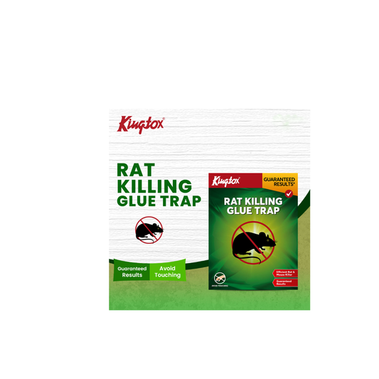 KING MOUSE AND RAT KILLER GLUE TRAP BASIC