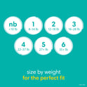 Pampers Baby Dry Diapers Size 2, 112 Count (Select for More Options)