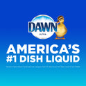 Dawn Platinum Dishwashing Liquid Dish Soap, Refreshing Rain, 14.6 fl oz