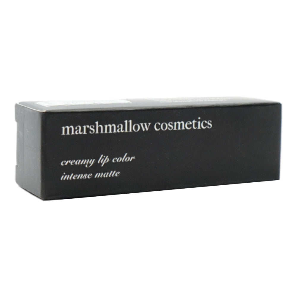 INTENSE MATT LIPSTICKPLEASE ME