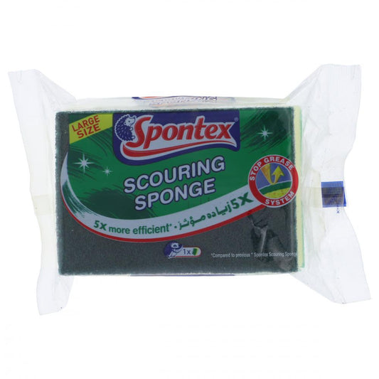 SPONTEX SCOURING SPONGE 5X PC