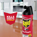 Raid Outdoor Defense System Ant and Roach Killer Spray Value Pack, 17.5 oz, 2 Count