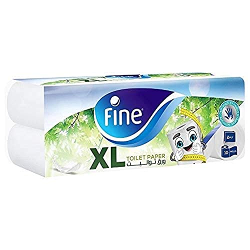 FINE TOILET ROLL LONG LASTING 10 ROLLS PACK BASIC