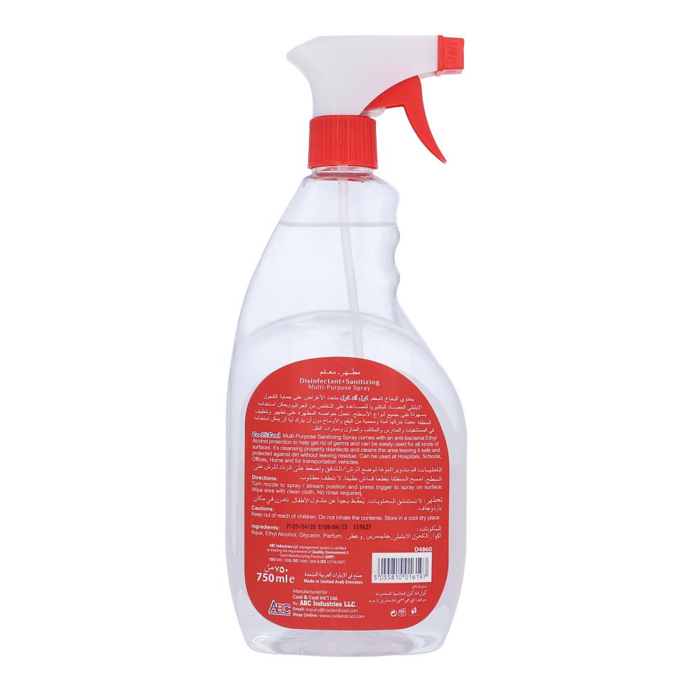 COOL AND COOL ANTI BACTERIAL DISINFECTANT AND SANITIZING SPRAY 750ML