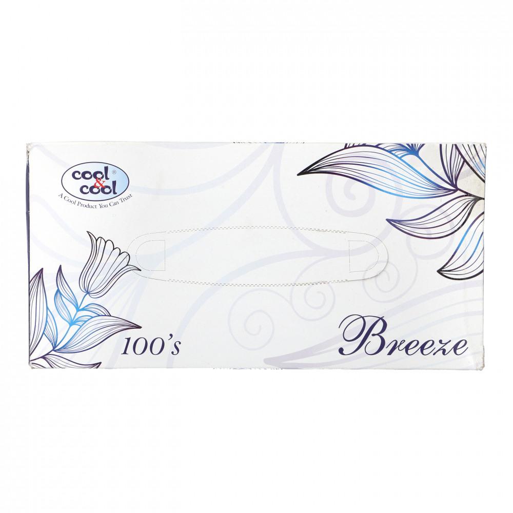 COOL & COOL TISSUE BREEZE 100X2PLY B2000