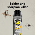 Raid Max Spider & Scorpion Killer, Indoor & Outdoor Anti Spider Spray, 12 oz