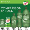 Canada Dry Ginger Ale Soda, 12 fl oz, 12 Pack Cans