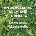 Purifying Neem Face Wash