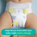 Pampers Swaddlers Diapers Size Preemie, 27 Count (Select for More Options)