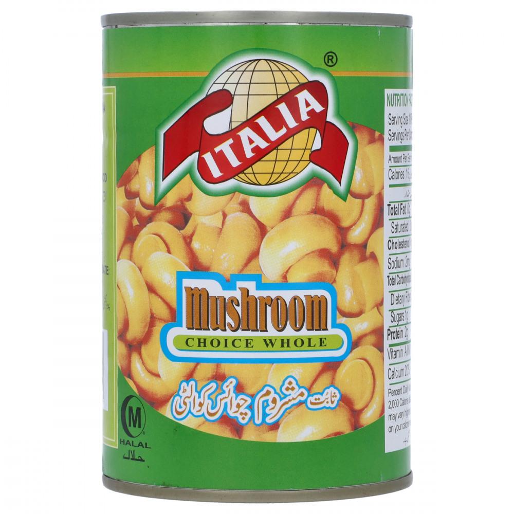 ITALIA CHAMPIGONS MUSHROOM 380 GM