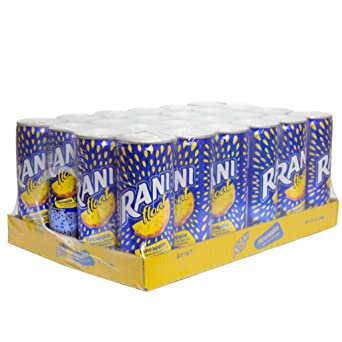 Rani Float Pulp juice Pineapple