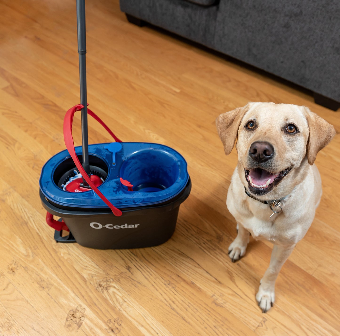 O-Cedar EasyWring RinseClean Spin Mop and Bucket System, Hands-Free System