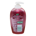 RADOX HAND WASH POMEGRANATE AND RED APPLE 250 ML