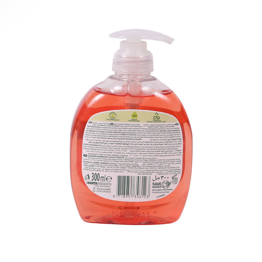 PALMOLIVE LIQUID HAND SOAP HYGIENE PLUS GENTLE FORMULA 300 M