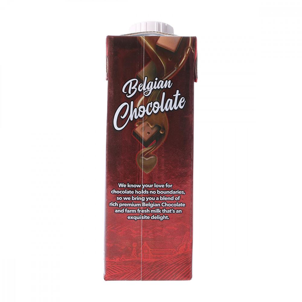 DAYFRESH FLAVOURED MILK BELGIAN CHOCOLATE 225ML