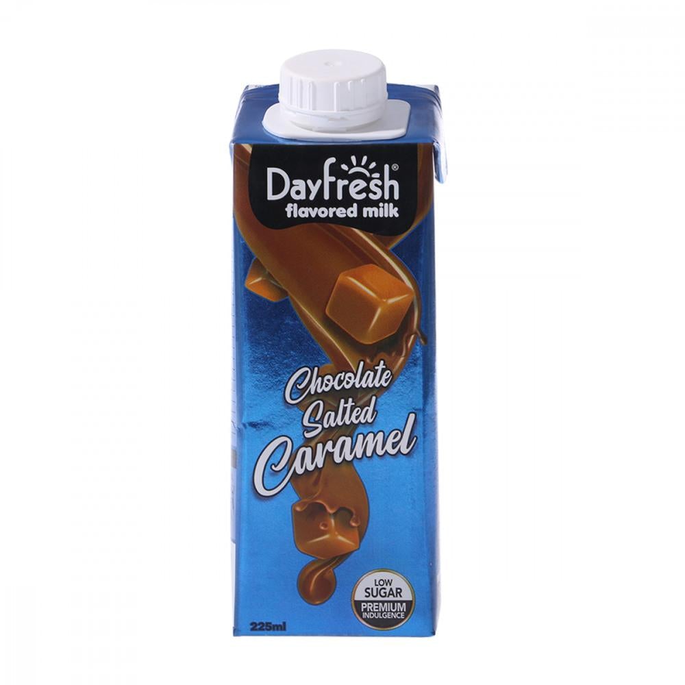 DAY FRESH FLAVORED MILK CHOCOLATE SALTED CARAMEL 225ML-CARTON