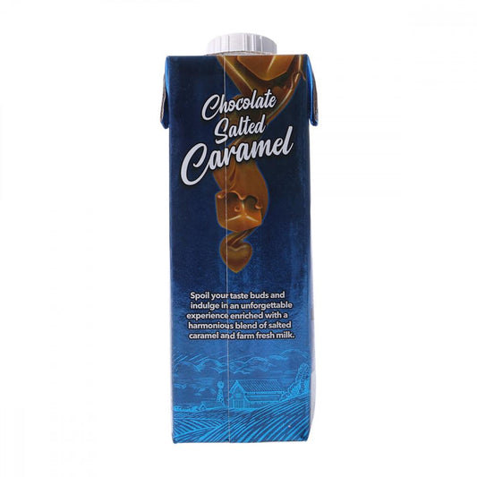 DAYFRESH FLAVOURED MILK CHOCOLATE SALTED CARAMEL 225ML