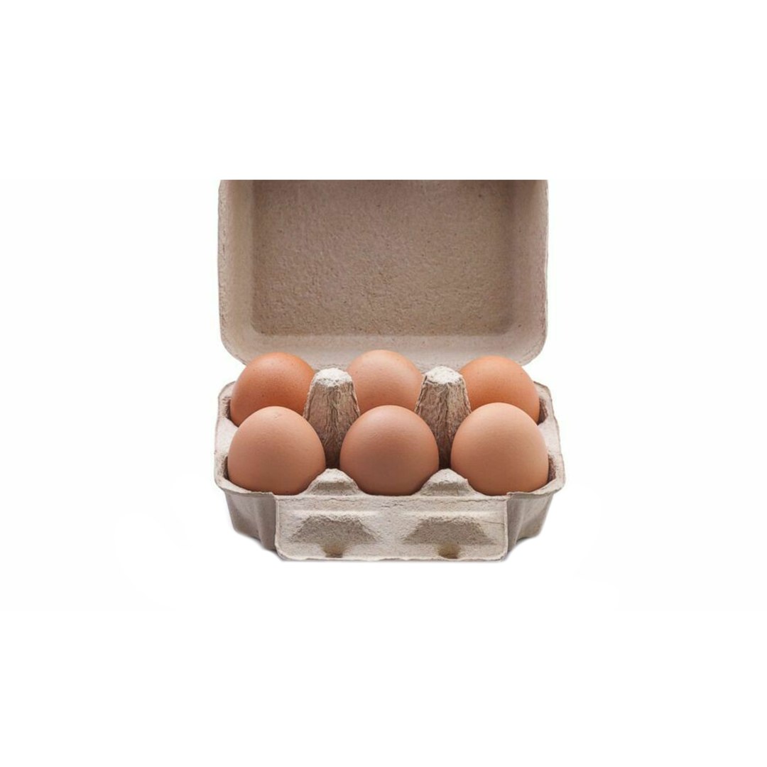 DESI EGGS 12PC