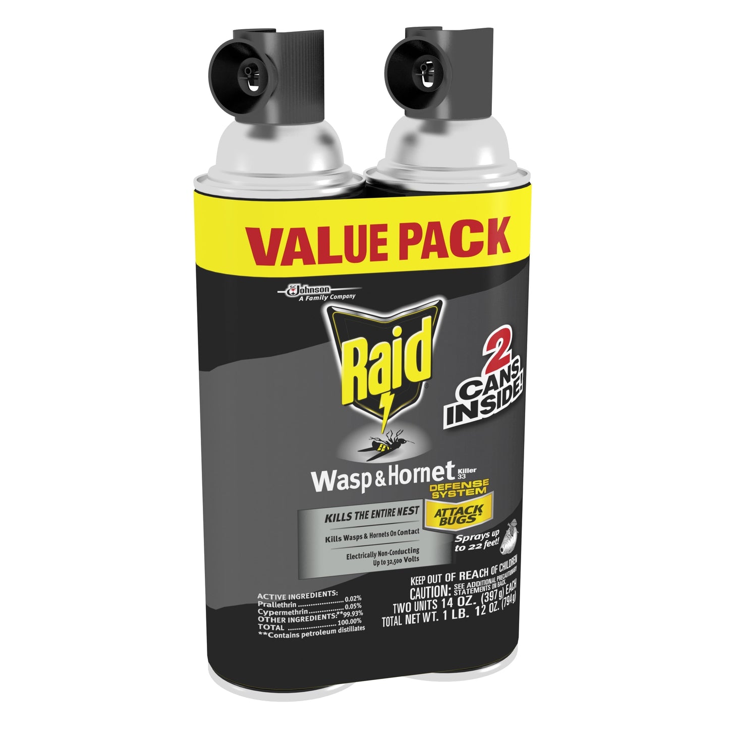 Raid Wasp & Hornet Insect Killer 33, 14 oz, 2 ct