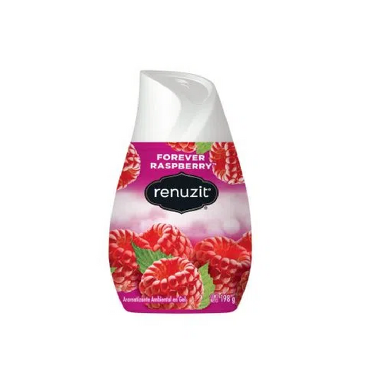 RENUZIT AIR FRESHNER RASPBERRY 198 GM