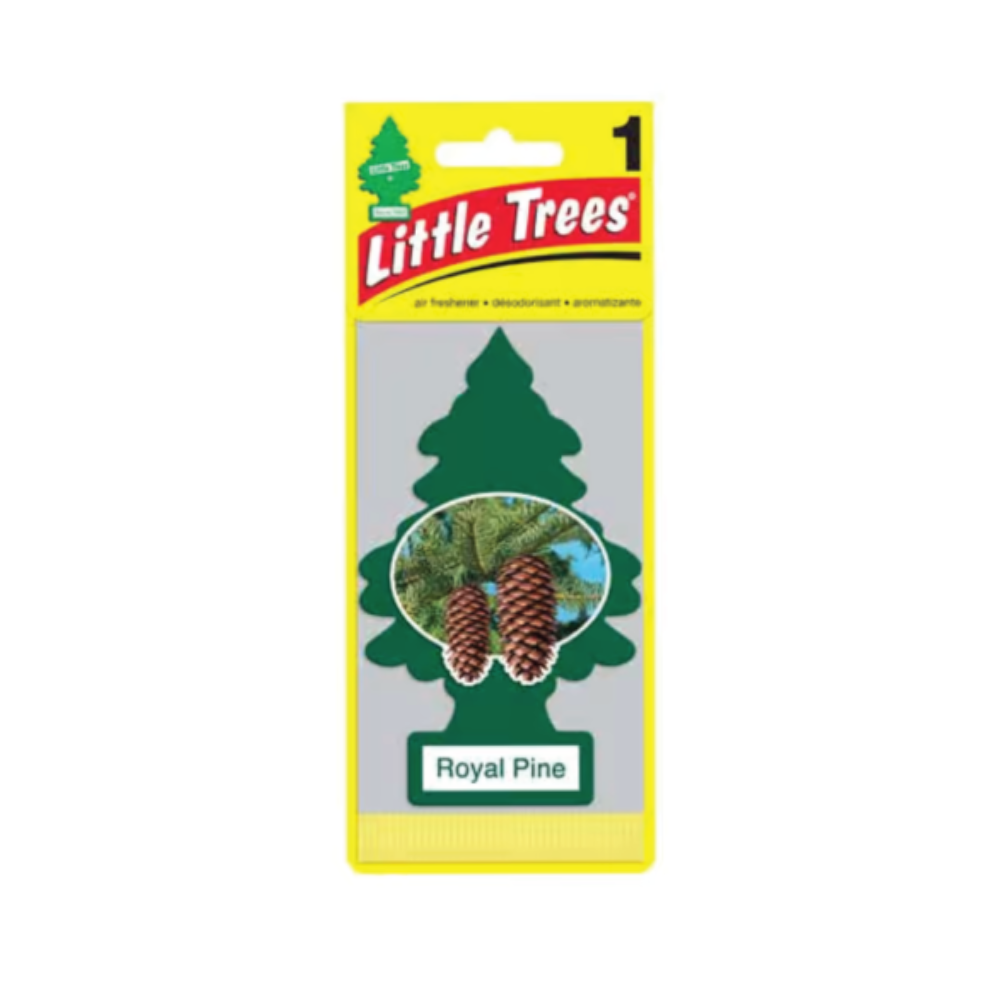 LITTLE TREES CAR FRESHNER ROYAL PINE PC