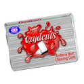 OXYDENTS CHEWING GUM REDBERRY MINT PC