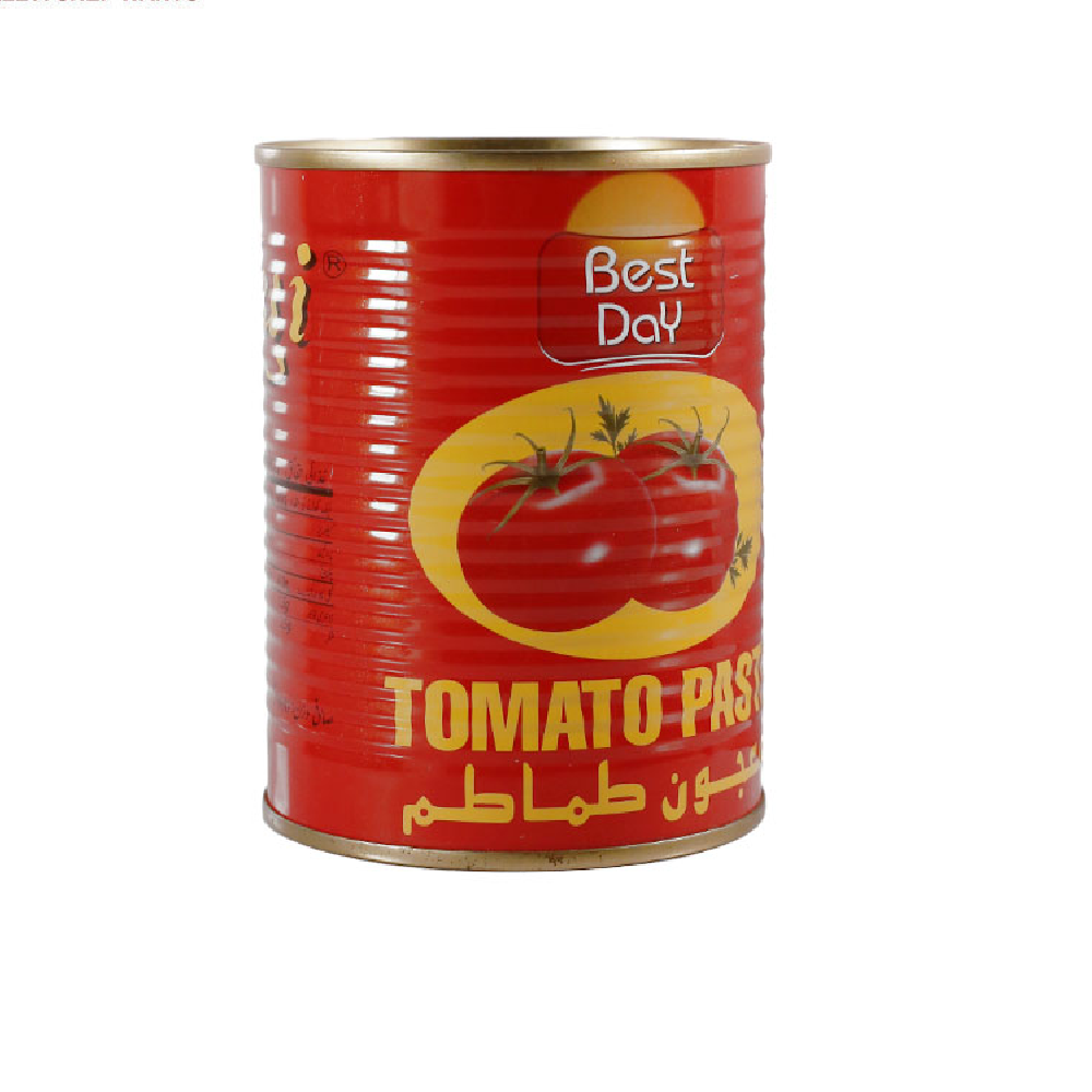 BEST DAY TOMATO PASTE 400 GM