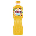 RIBENA JUICE LIGHT PINEAPPLE & PASSION FRUIT 500 ML