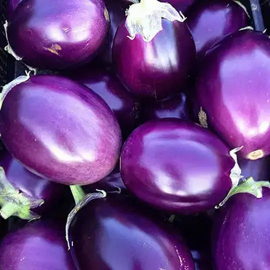 Indian Eggplant