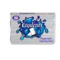 OXYDENTS CHEWING GUM PEPPER MINT PC