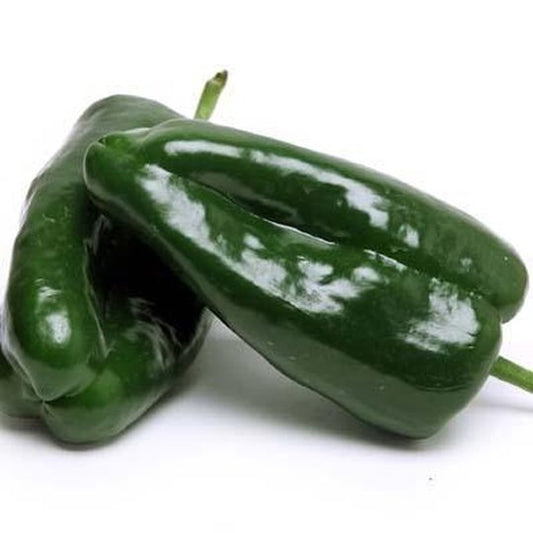 Pasilla Peppers