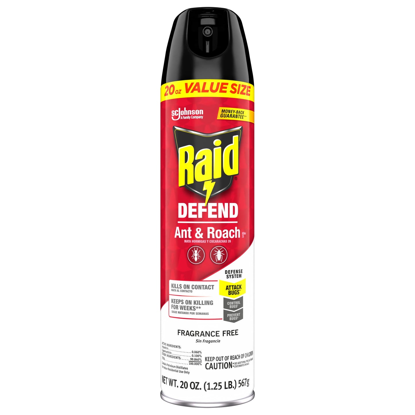 Raid Defend Indoor Ant and Roach Killer Spray Value Size, 20 oz