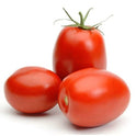 Roma Tomatoes