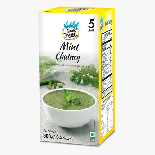 Vadilal Mint Chutney