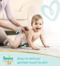 6 PAMPERS PREMIUM CARE 16 PLUS KG 36 PANTS