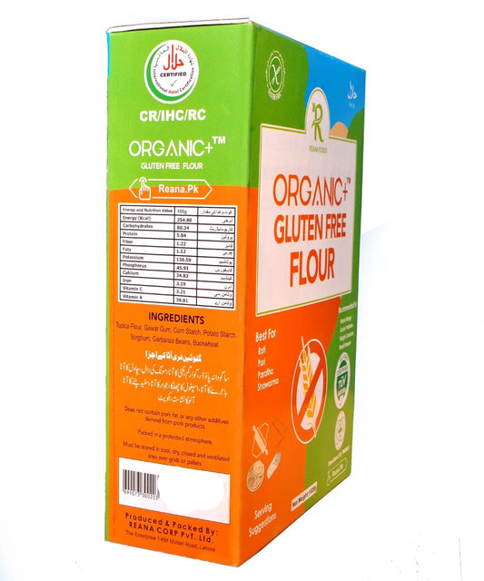 REANA FOODS ORGANIC GLUTEN FREE FLOUR 500 GM