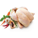 Amish Whole Chicken | Approx. 2lb-3lb Chicken | All Natural |