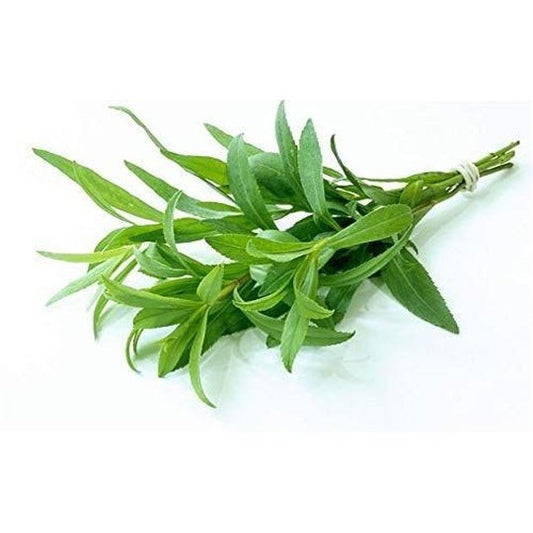 Fresh Tarragon