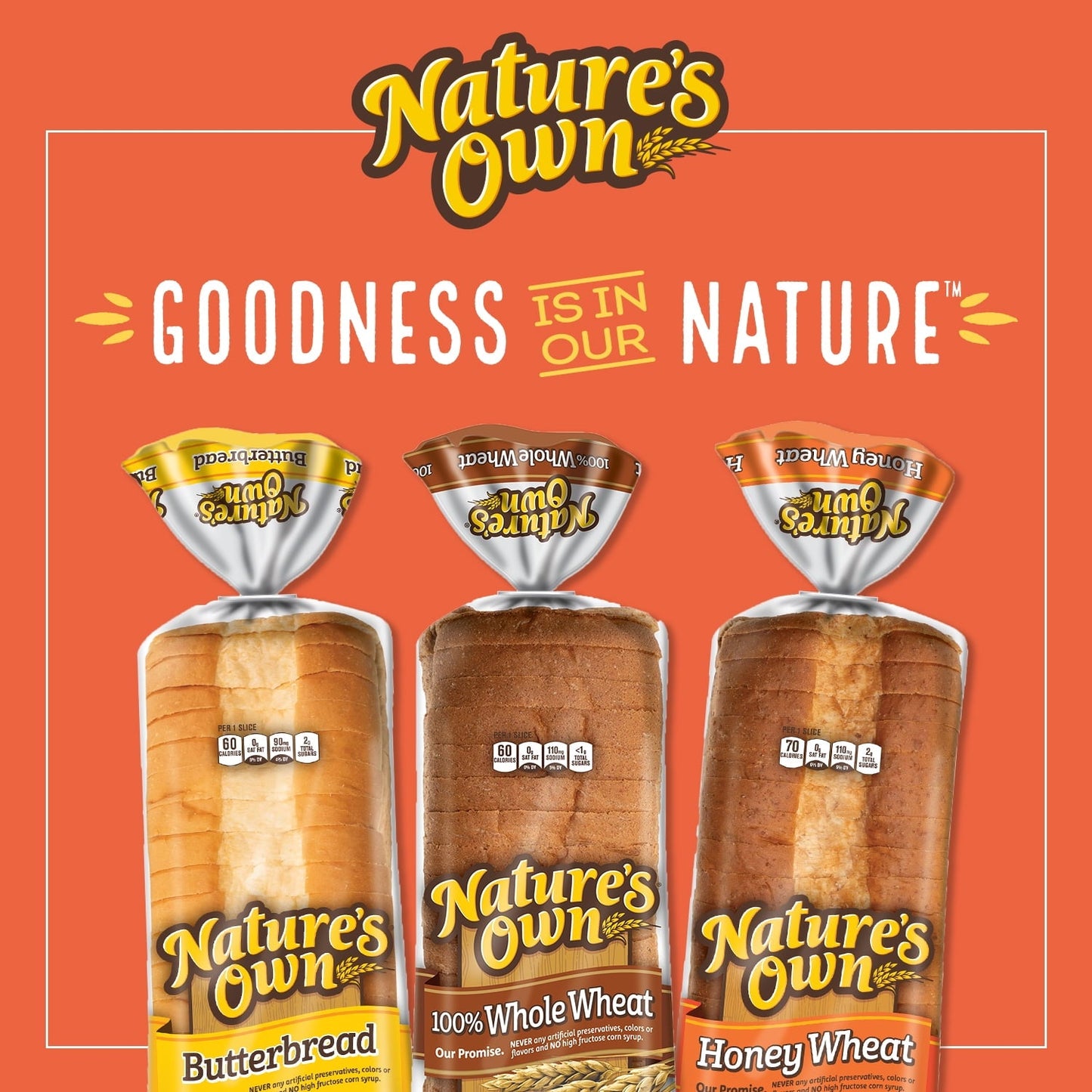 Nature's Own 100% Whole Grain Sliced Sandwich Bread, 20 oz