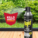 Raid Wasp & Hornet Killer 33, Outdoor Flying Insect Spray, 17.5 oz