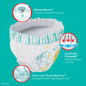 Pampers Cruisers 360 Diapers Size 7, 66 Count