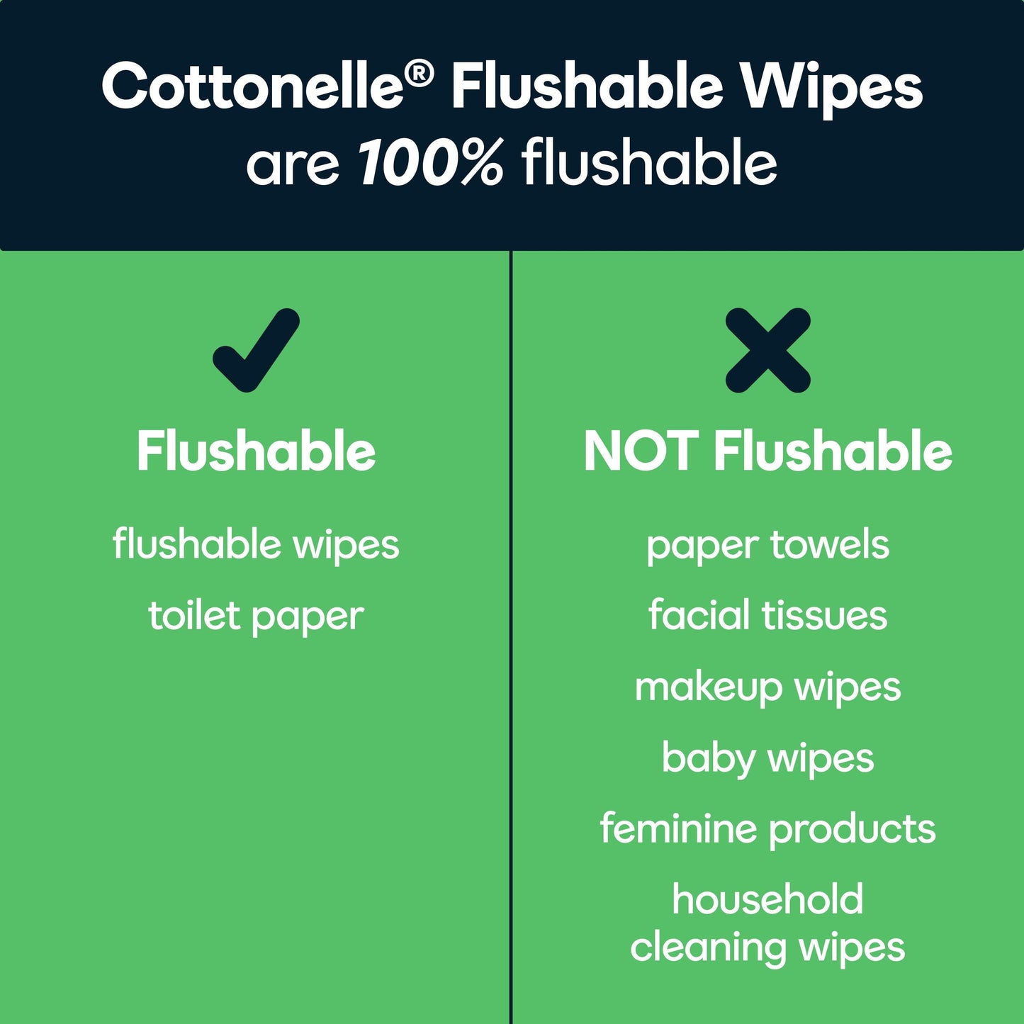 Cottonelle Gentle Plus Flushable Wipes, 2 Flip-Top Packs, 42 Wipes Per Pack (84 Total)