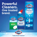 Clorox Toilet Bowl Cleaner w/Bleach, Rain Clean, 24 fl oz