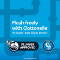 Cottonelle Ultra Fresh Flushable Wipes, 2 Flip-Top Packs, 42 Wipes per Pack (84 Total)