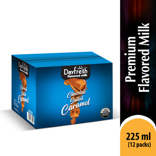 DAY FRESH FLAVORED MILK CHOCOLATE SALTED CARAMEL 225ML-CARTON